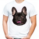 Koszulka męska z psem buldogiem