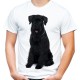 Koszulka męska z psem