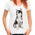 koszulka damska z psem Husky 