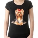 koszulka damska z psem yorkiem