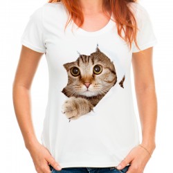 koszulka z małym kotkiem