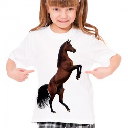 Koszulka dziecięca z brązowym koniem