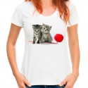 koszulka z kotami