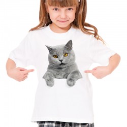 koszulka z szarym kotem