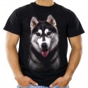 Koszulka z Husky Syberyjskim