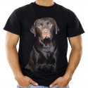Koszulka z Labradorem