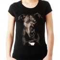 koszulka z psem Pitbullem
