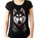 koszulka z psem Husky Syberyjskim