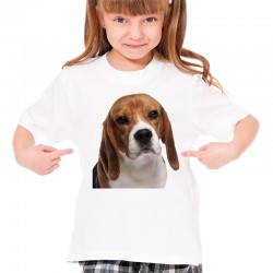 Koszulka z psem Labradorem