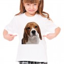 Koszulka z psem Beagle