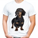 Koszulka  z psem Jamnikiem
