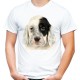 Koszulka z psem Cocker Spaniel