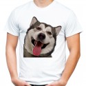 Koszulka z psem Husky