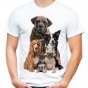 Koszulka męska z psami