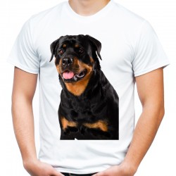 Koszulka męska z Rottweilerem