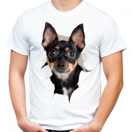 Koszulka męska z Rottweilerem