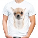 Koszulka męska z psem Cziłała