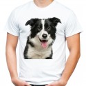 Koszulka z psem Collie