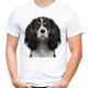 Koszulka z psem Cavalierem