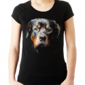 koszulka z psem Rottweilerem