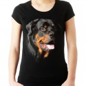 koszulka z psem Rottweilerem