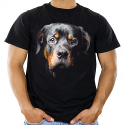 Koszulka z Rottweilerem