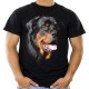 Koszulka Rottweiler