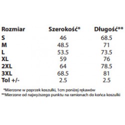 koszulka męska Warszawa