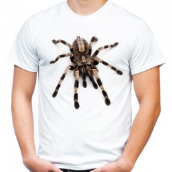 T-shirt z pająkiem 3d