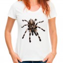 Koszulka z pająkiem Tarantula 3d 
