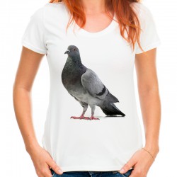 t-shirt z gołębiem