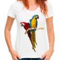 koszulka z papugą