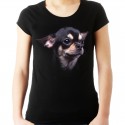 koszulka damska z psem Chihuahua