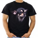 Koszulka z psem Chihuahua