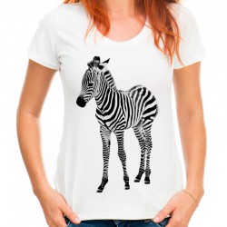 T-shirt z zebrą