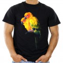 Koszulka z papugą
