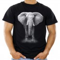 Koszulka ze słoniem