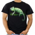 Koszulka z kameleonem