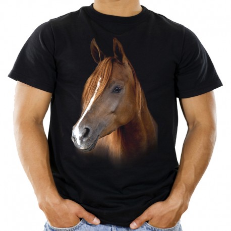 t-shirt z koniem