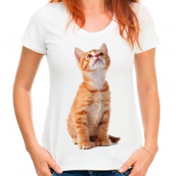 Koszulka z kotem