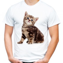 koszulka z kotem