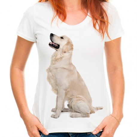 koszulka z Labradorem