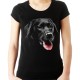 koszulka z psem  Labradorem czarnym