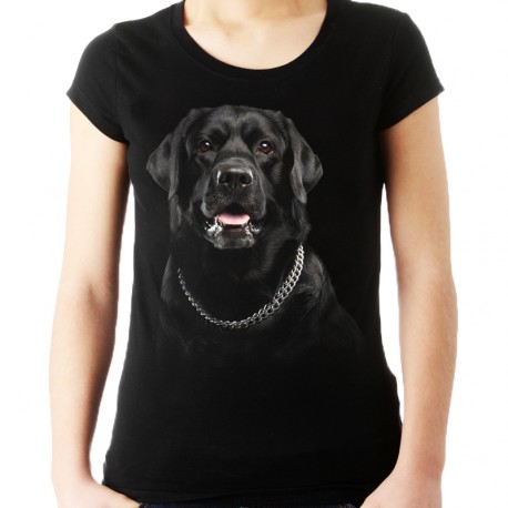 koszulka z psem  Labradorem