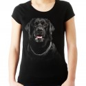 koszulka z psem  Labradorem