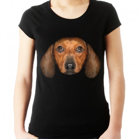 koszulka z psem  Jamnikiem