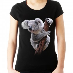 Koszulka z Misiem Koala