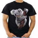 Koszulka z misiem Koala
