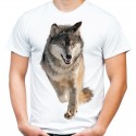 Koszulka z wilkiem szarym