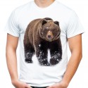 koszulka z niedźwiedziem